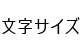 文字サイズ