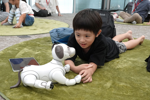 アイボを前に腹ばいに寝ている男の子